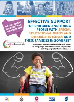 EFFECTIVE SUPPORT FOR CHILDREN AND YOUNG PEOPLE WITH SPECIAL EDUCATIONAL NEEDS AND DISABILITIES (SEND) AND THEIR FAMILIES IN SOMERSET - Somerset ...