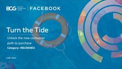 Turn the Tide Unlock the new consumer path to purchase - Category: INSURANCE - Boston Consulting Group