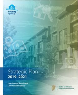 Strategic Plan 2019 2021 - Housing and Sustainable Communities Agency - The Housing Agency