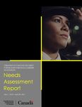 Needs Assessment Report - CREATING ECONOMIC SECURITY FOR WOMEN THROUGH CAREERS IN AVIATION - Elevate Aviation