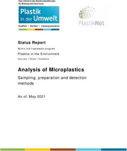 Analysis of Microplastics - Status Report Sampling, preparation and detection methods