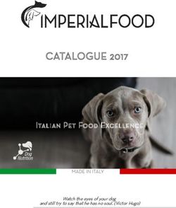 Italian Pet Food Excellence - Watch the eyes of your dog and still try to say that he has no soul. (Victor Hugo) - Best4Pet.eu