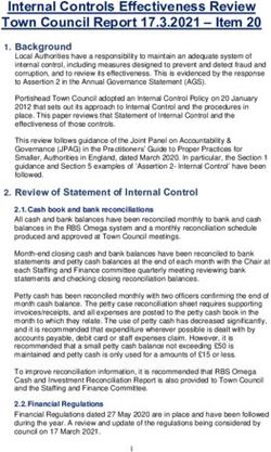 Internal Controls Effectiveness Review Town Council Report 17.3.2021 - Item 20