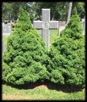 Sacred Places Catholic Cemeteries of Long Island