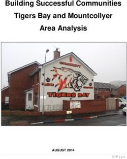 Building Successful Communities Tigers Bay and Mountcollyer Area Analysis - AUGUST 2014