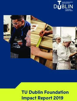 TU Dublin Foundation Impact Report 2019 - Regional Skills
