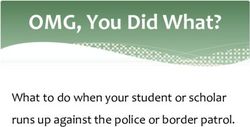OMG, You Did What? What to do when your student or scholar runs up against the police or border patrol - NAFSA