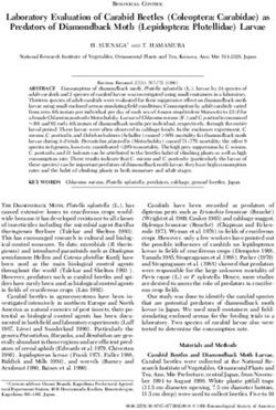 Laboratory Evaluation of Carabid Beetles (Coleoptera: Carabidae) as Predators of Diamondback Moth (Lepidoptera: Plutellidae) Larvae