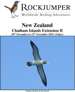 New Zealand Chatham Islands Extension II - 10th November to 13th November 2021 (4 days) - Rockjumper Birding