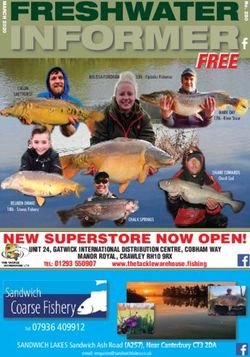 Freshwater Informer  Leading Angling Magazine For The South East