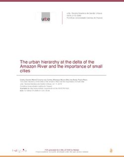 The urban hierarchy at the delta of the Amazon River and the importance of small cities