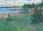 ANNE JOHNSTON & JEROME ANDREWS - Painting Fundy: A Lifelong Obsession