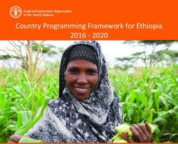 Country Programming Framework for Ethiopia 2016 2020 - FAO