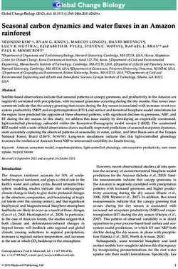 Seasonal carbon dynamics and water fluxes in an Amazon rainforest