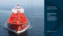 Chemicals & Small Tankers - Is the order fever over?