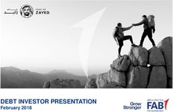 DEBT INVESTOR PRESENTATION - February 2018