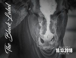 10.13.2018 Grandview, Texas - Saturday October 13, 2018 1 - Innovation Ag Marketing