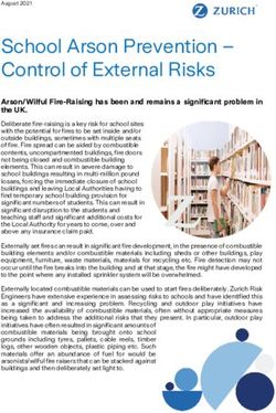 School Arson Prevention - Control of External Risks