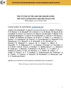 THE FUTURE OF THE ARECIBO OBSERVATORY: THE NEXT GENERATION ARECIBO TELESCOPE