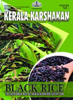 English journal - The Incredible Rice As New Generation Super Food - Farm ...