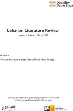 LEBANON LITERATURE REVIEW - AUTHORS WISSAM MAROUCHE, KATE MCAULIFF AND MAHA SHUAYB - DISABILITY UNDER SIEGE
