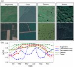 High-resolution map of sugarcane cultivation in Brazil using a phenology-based method