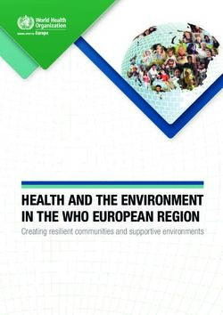 HEALTH AND THE ENVIRONMENT IN THE WHO EUROPEAN REGION - Creating resilient communities and supportive environments