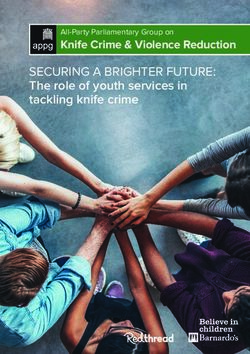 SECURING A BRIGHTER FUTURE: The role of youth services in tackling knife crime Knife Crime & Violence Reduction - (APPG) on Knife Crime