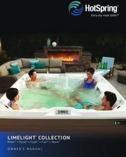 LIMELIGHT COLLECTION Prism Pulse Flash Flair Beam - OWNER'S MANUAL - Hot Spring Spas