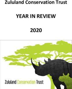 YEAR IN REVIEW 2020 Zululand Conservation Trust - Zululand Conservation Trust