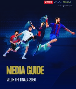 MEDIA GUIDE VELUX EHF FINAL4 2020