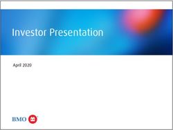 bmo investor presentation