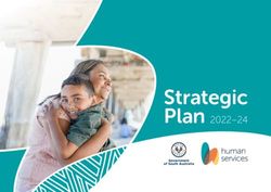 Strategic Plan 2022-24 - DHS