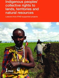 Indigenous peoples' collective rights to lands, territories and natural resources - Lessons from IFAD-supported projects