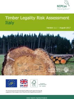 Timber Legality Risk Assessment Italy - NEPCon