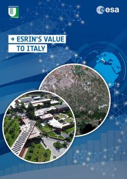 ESRIN'S VALUE TO ITALY - Master in Procurement ...