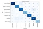 Automated Non-invasive Skin Cancer Detection using Dermoscopic Images