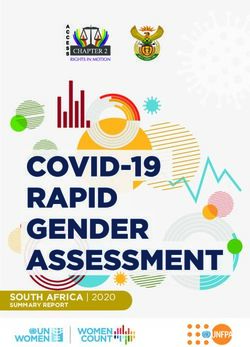 SOUTH AFRICA | 2020 SUMMARY REPORT - UN Women Data