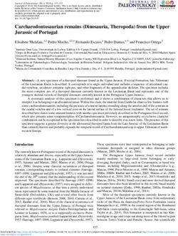 Carcharodontosaurian remains Dinosauria, Theropoda from the Upper Jurassic of Portugal - Carcharodontosaurian remains Dinosauria, Theropoda ...
