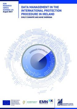 DATA MANAGEMENT IN THE INTERNATIONAL PROTECTION PROCEDURE IN IRELAND