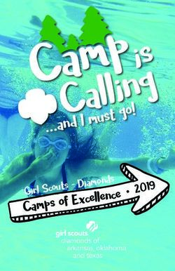 Camps of Excel Scouts - Diamonds - Girl Scouts Diamonds