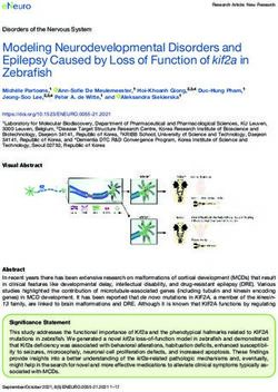 Modeling Neurodevelopmental Disorders and Epilepsy Caused by Loss of Function of kif2a in Zebrafish