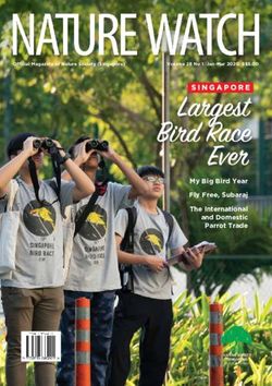 My Big Bird Year Fly Free, Subaraj The International and Domestic Parrot Trade