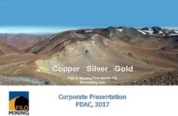 Copper Silver Gold PDAC, 2017 - Corporate Presentation TSX-V, Nasdaq First North: FIL - Filo Mining Corp.