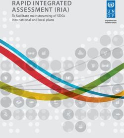 RAPID INTEGRATED ASSESSMENT (RIA) - To facilitate mainstreaming of SDGs into national and local plans - UNDP