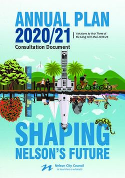 ANNUAL PLAN 2020/21 Variations to Year Three of - Consultation Document - Nelson City Council