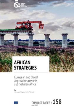 AFRICAN STRATEGIES - CHAILLOT PAPER / 158 - European Union Institute for ...