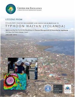 TYPHOON HA I YAN ( YOLANDA ) - LESSONS FROM