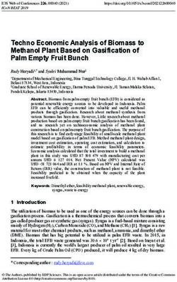 Techno Economic Analysis of Biomass to Methanol Plant Based on Gasification of Palm Empty Fruit Bunch