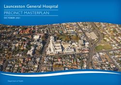 PRECINCT MASTERPLAN Launceston General Hospital - OCTOBER 2021 - TAS Health
